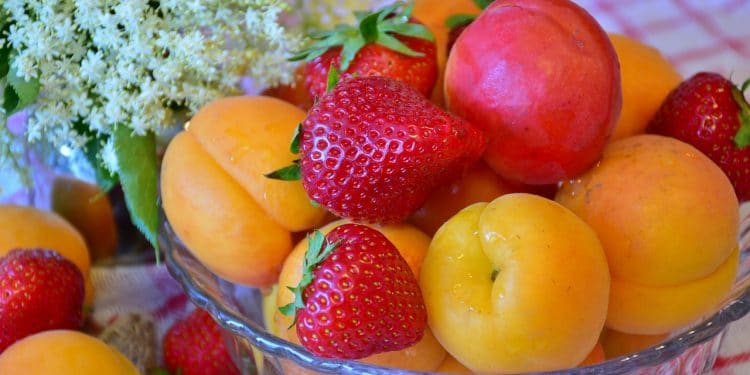 fraises et abricots pour atteindre la satiete