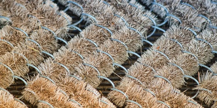 tapis brosse