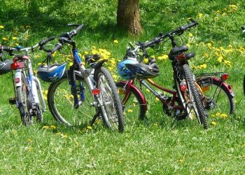 en famille à l'Ile d’Oléron