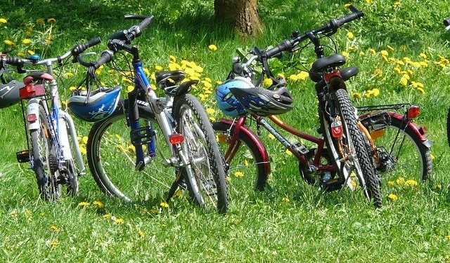 en famille à l'Ile d’Oléron