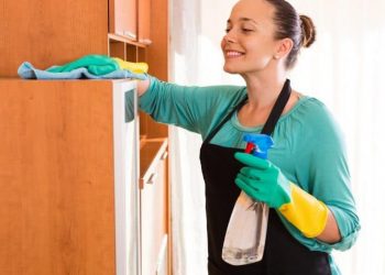 Femme de ménage Paris 2