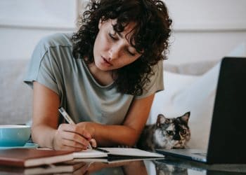 Comment postuler une offre de stage en droit à Toulouse ?