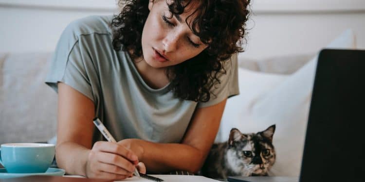 Comment postuler une offre de stage en droit à Toulouse ?