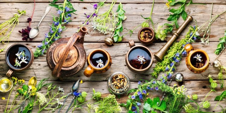 Les tisanes, quels bienfaits vous apportent-elles réellement ?