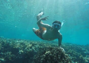 découvrez les meilleures techniques de natation pour améliorer vos performances dans l'eau avec notre guide complet sur la technique de natation.