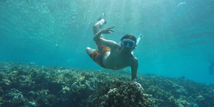 découvrez les meilleures techniques de natation pour améliorer vos performances dans l'eau avec notre guide complet sur la technique de natation.