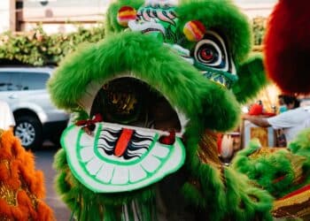 découvrez les bienfaits de l'enrichissement et apprenez comment augmenter les ressources de façon durable avec nos conseils pratiques.