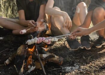 découvrez tout sur le chauffage, les systèmes de chauffage, les conseils et les astuces pour une maison chaleureuse et confortable.