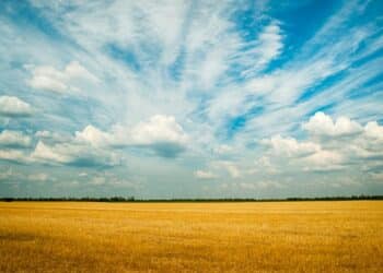 découvrez le confort ultime avec notre climatiseur intelligent. contrôlez la température de votre maison à distance et profitez d'une atmosphère agréable à tout moment.