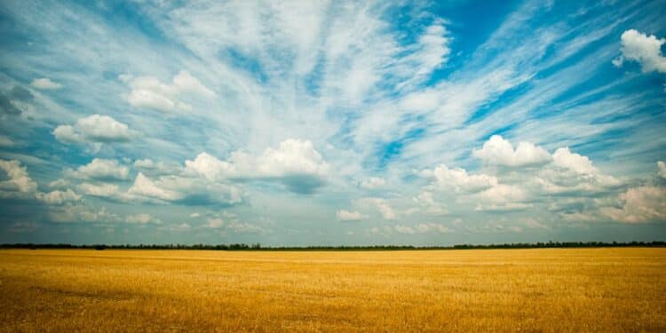 découvrez le confort ultime avec notre climatiseur intelligent. contrôlez la température de votre maison à distance et profitez d'une atmosphère agréable à tout moment.