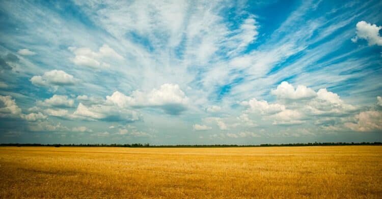 découvrez le confort ultime avec notre climatiseur intelligent. contrôlez la température de votre maison à distance et profitez d'une atmosphère agréable à tout moment.