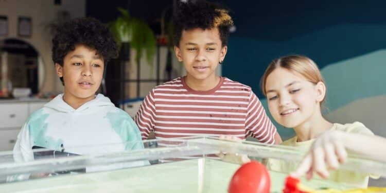 découvrez l'avenir de l'éducation avec les dernières innovations et tendances dans le domaine de l'enseignement et de la formation.