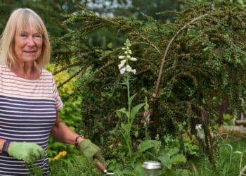 cultivez la joie avec nos produits enchanteresses qui raviront vos sens et illumineront votre journée. découvrez comment cultiver la joie au quotidien avec nos conseils et inspirations.