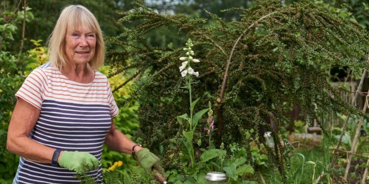 cultivez la joie avec nos produits enchanteresses qui raviront vos sens et illumineront votre journée. découvrez comment cultiver la joie au quotidien avec nos conseils et inspirations.