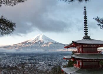 découvrez les trésors cachés des volcans avec volcano treasures, une expérience unique au cœur de la nature sauvage.