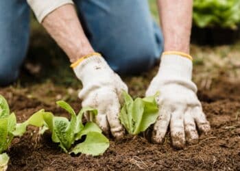 cultivez la réactivité : astuces et conseils pour améliorer votre capacité de réaction