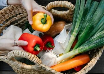 cultiver l'enthousiasme pour une vie plus épanouie et dynamique.