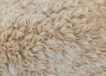 découvrez les secrets de la fabrication avec des astuces et des conseils précieux pour créer des œuvres uniques avec fabric secrets.