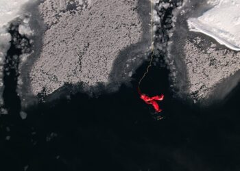 la nage d'hiver est une pratique courageuse qui consiste à nager dans des eaux froides pendant la saison hivernale, offrant des bienfaits pour la santé et une sensation d'adrénaline unique.