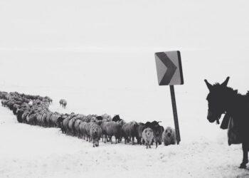 découvrez cold vapor, une plateforme de diffusion de musique électronique et de performances artistiques.