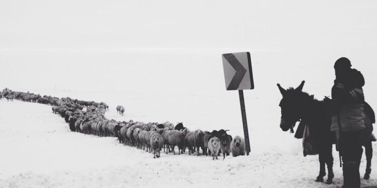 découvrez cold vapor, une plateforme de diffusion de musique électronique et de performances artistiques.