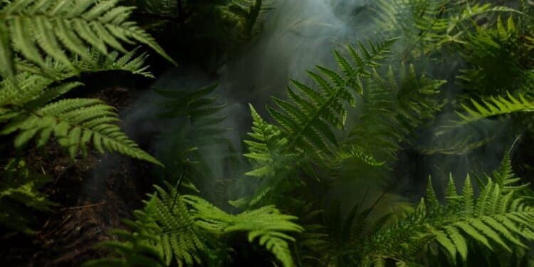 découvrez la faune et la flore de la jungle à travers ses habitants variés et fascinants.