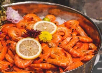 découvrez notre approche de la cuisine équilibrée pour une alimentation saine et savoureuse.