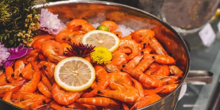découvrez notre approche de la cuisine équilibrée pour une alimentation saine et savoureuse.
