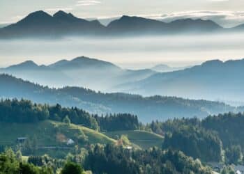 découvrez les clés d'une cohabitation harmonieuse et épanouissante grâce à nos conseils pratiques et inspirants.