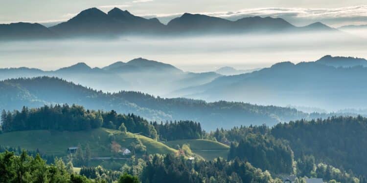 découvrez les clés d'une cohabitation harmonieuse et épanouissante grâce à nos conseils pratiques et inspirants.