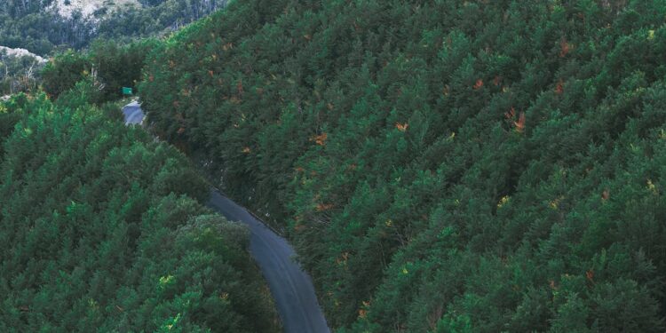 découvrez des itinéraires à couper le souffle pour vos balades à vélo.