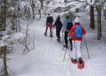 découvrez le plaisir de la randonnée en raquettes avec nos conseils et suggestions pour pratiquer le snowshoeing dans les plus beaux paysages enneigés.