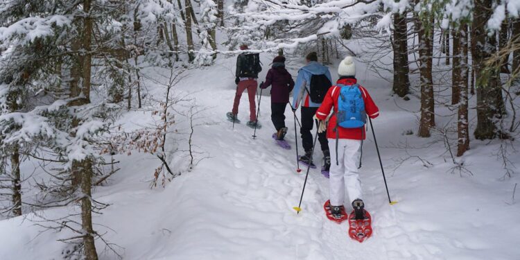 découvrez le plaisir de la randonnée en raquettes avec nos conseils et suggestions pour pratiquer le snowshoeing dans les plus beaux paysages enneigés.
