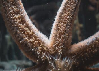 découvrez nos offres de séjour commun pour des moments inoubliables en famille ou entre amis.