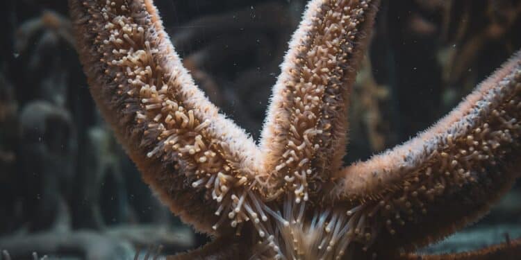 découvrez nos offres de séjour commun pour des moments inoubliables en famille ou entre amis.