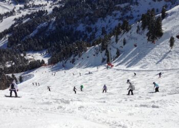 découvrez le plaisir du snowboard avec nos conseils et astuces pour profiter de la montagne et des descentes enneigées. apprenez les techniques et trouvez l'équipement parfait pour vos aventures de snowboard.