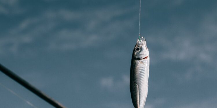 découvrez notre sélection d'équipement de natation pour tous les niveaux, comprenant des maillots, lunettes, palmes et accessoires indispensables pour une expérience aquatique optimale.