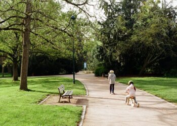 découvrez notre sélection de vélos pliants de qualité supérieure pour des déplacements pratiques et efficaces. trouvez le modèle parfait pour vos besoins de mobilité urbaine avec nos vélos pliants innovants.