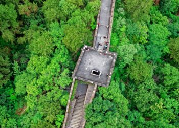 découvrez nos solutions de renforcement pour améliorer vos performances physiques et atteindre vos objectifs sportifs.