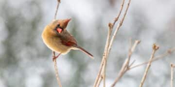 découvrez comment migrer en toute simplicité avec nos solutions efficaces et fiables. simplifiez le processus de migration avec notre expertise et notre support dédié.