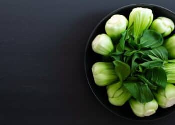 découvrez les principes d'une alimentation saine et équilibrée pour améliorer votre bien-être et booster votre énergie au quotidien. apprenez à faire des choix alimentaires judicieux qui favorisent la santé et la vitalité.