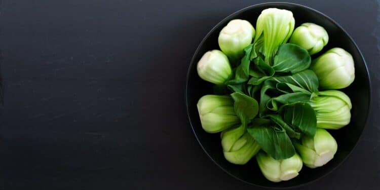 découvrez les principes d'une alimentation saine et équilibrée pour améliorer votre bien-être et booster votre énergie au quotidien. apprenez à faire des choix alimentaires judicieux qui favorisent la santé et la vitalité.