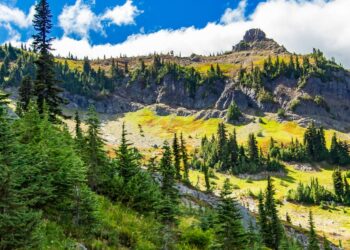 découvrez nos solutions d'assurance voyage adaptées à tous vos besoins. protégez-vous contre les imprévus lors de vos déplacements à l'étranger, et voyagez l'esprit tranquille grâce à notre couverture complète.