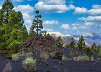 découvrez le fascinant monde des volcans : des formations géologiques impressionnantes aux éruptions spectaculaires. explorez leur impact sur la planète et leur importance dans l'écosystème, ainsi que les différentes types de volcans à travers le monde.