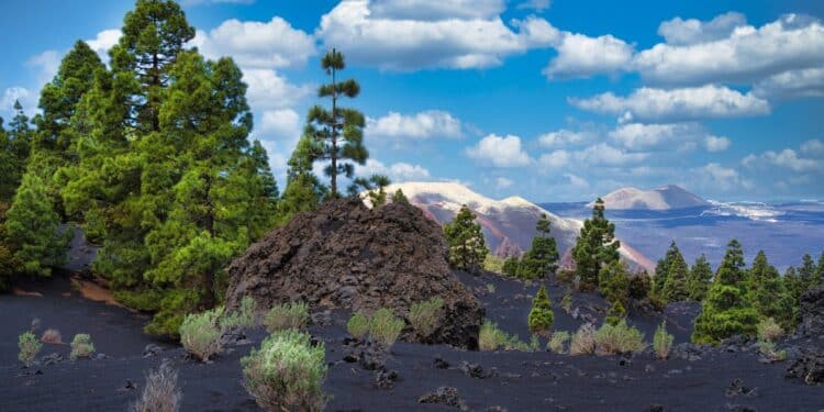 découvrez le fascinant monde des volcans : des formations géologiques impressionnantes aux éruptions spectaculaires. explorez leur impact sur la planète et leur importance dans l'écosystème, ainsi que les différentes types de volcans à travers le monde.