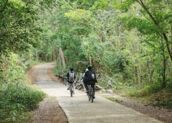 découvrez les meilleures routes de cyclisme en france! que vous soyez un cycliste débutant ou expérimenté, trouvez des parcours adaptés à tous les niveaux, à travers des paysages époustouflants et des sites historiques. préparez votre prochaine aventure à vélo dès maintenant!