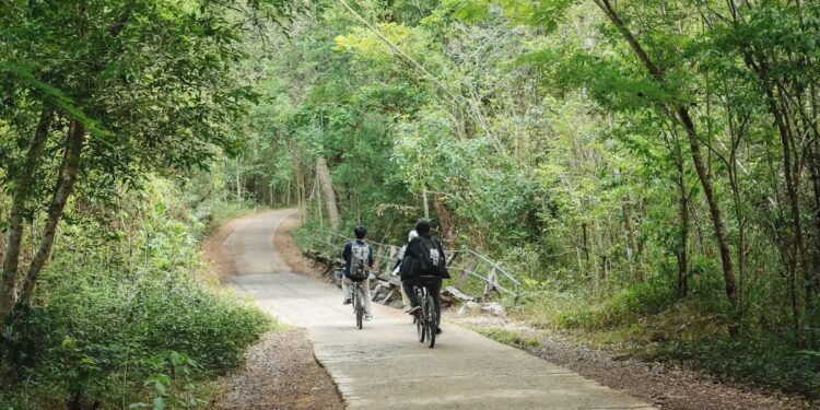 découvrez les meilleures routes de cyclisme en france! que vous soyez un cycliste débutant ou expérimenté, trouvez des parcours adaptés à tous les niveaux, à travers des paysages époustouflants et des sites historiques. préparez votre prochaine aventure à vélo dès maintenant!