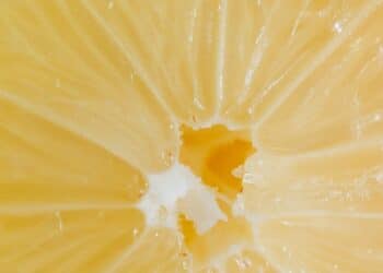 découvrez un monde de saveurs exotiques qui éveillent vos papilles ! plongez dans une expérience culinaire unique en explorant des ingrédients rares et des recettes authentiques venant des quatre coins du globe.