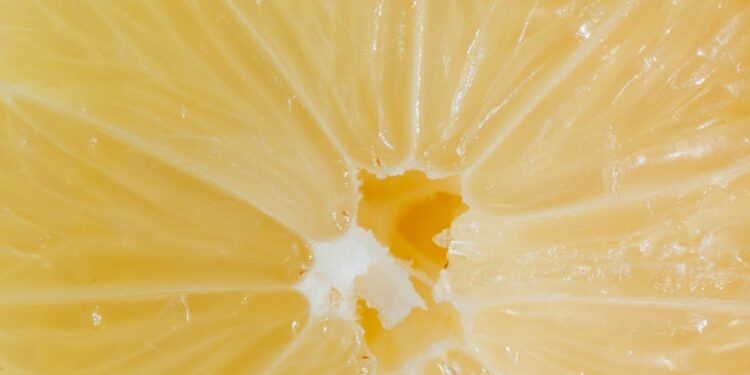 découvrez un monde de saveurs exotiques qui éveillent vos papilles ! plongez dans une expérience culinaire unique en explorant des ingrédients rares et des recettes authentiques venant des quatre coins du globe.