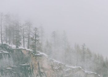découvrez la magie des chutes de neige dans notre article sur les neiges d'hiver. plongez dans un univers féérique où chaque flocon raconte une histoire, et explorez les meilleures destinations pour profiter des paysages enneigés.